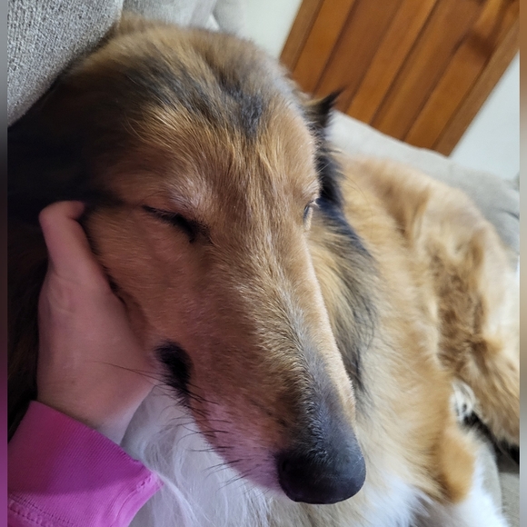 PLSreadBEFOREbuying! - Picture 1 of 16